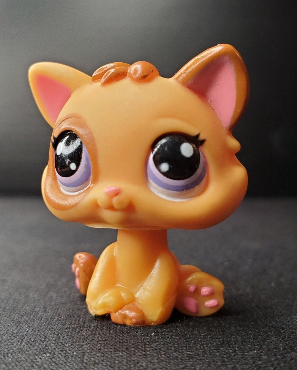LPS Littlest Pet Shop 2008 Kitten Cat #2414 Eye Ring Purple Eyes